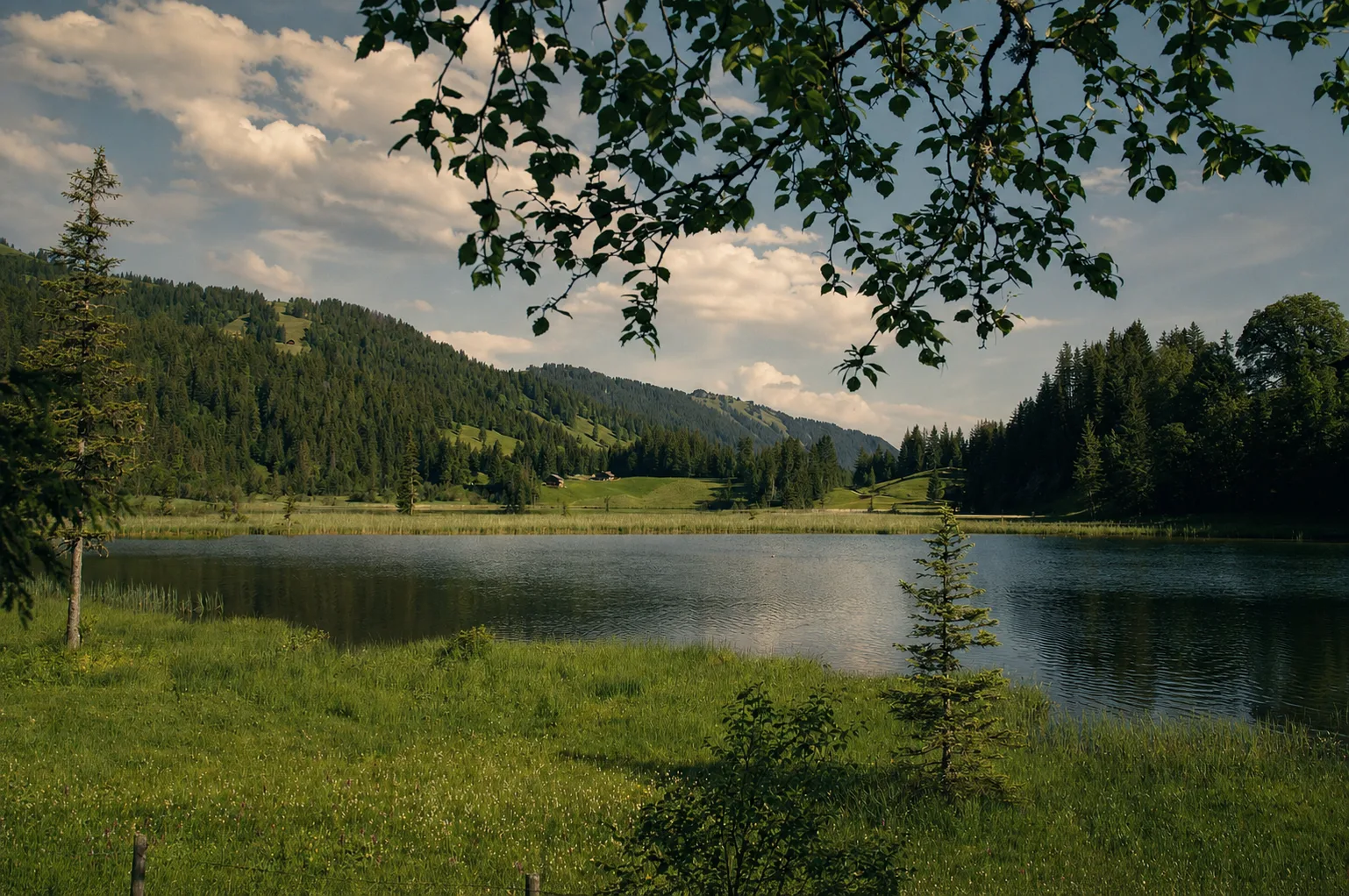 Wildhorntour - Tourbild