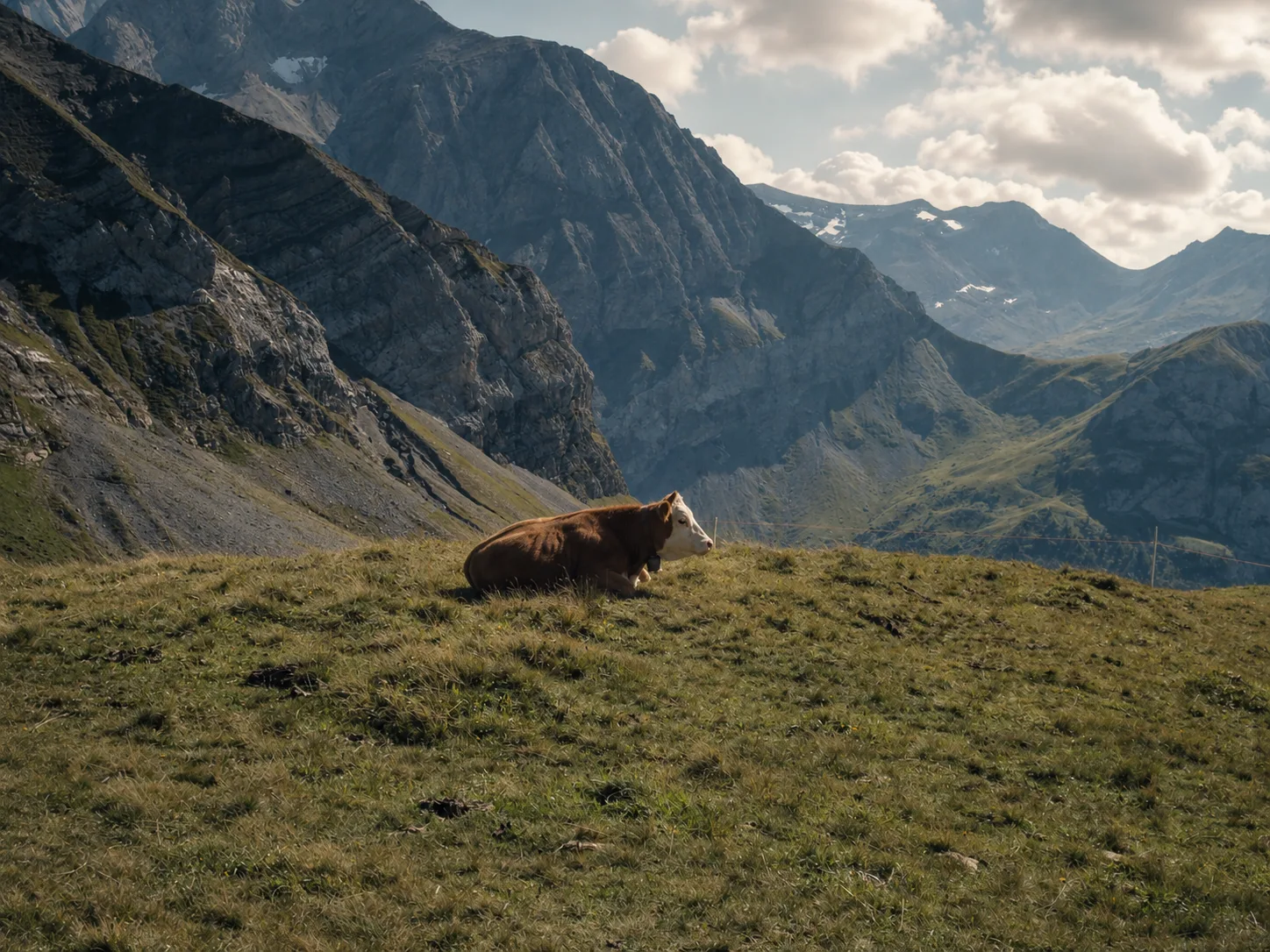Wildhorntour - Tourbild