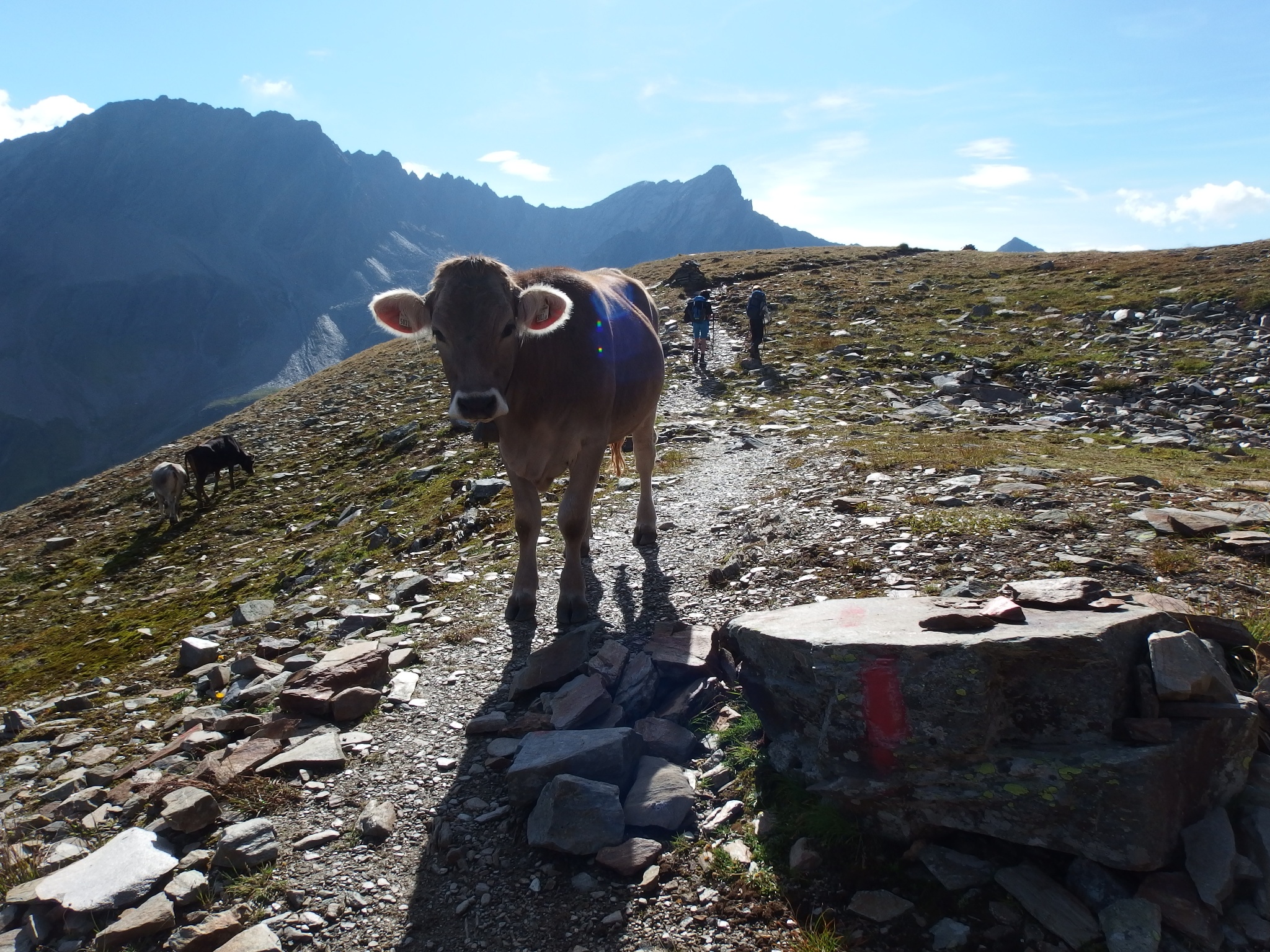 Hüttenrunde durchs Verwall