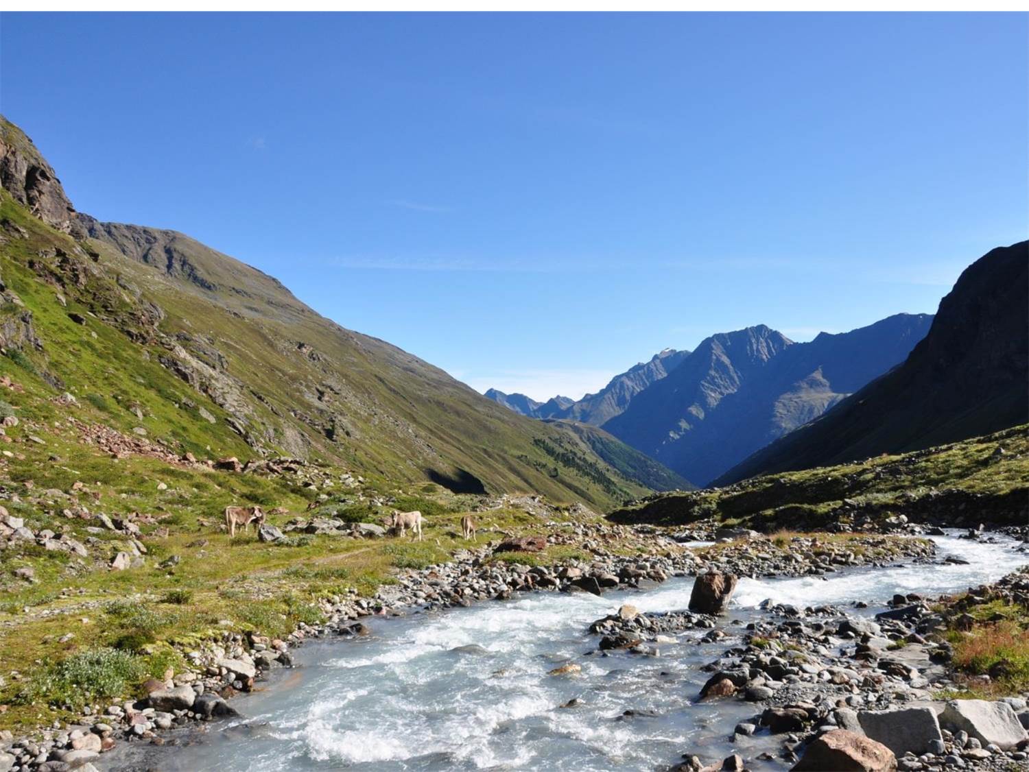 Pitztaltour Tag 1: Aufstieg zum Taschachhaus entlang der Pitze