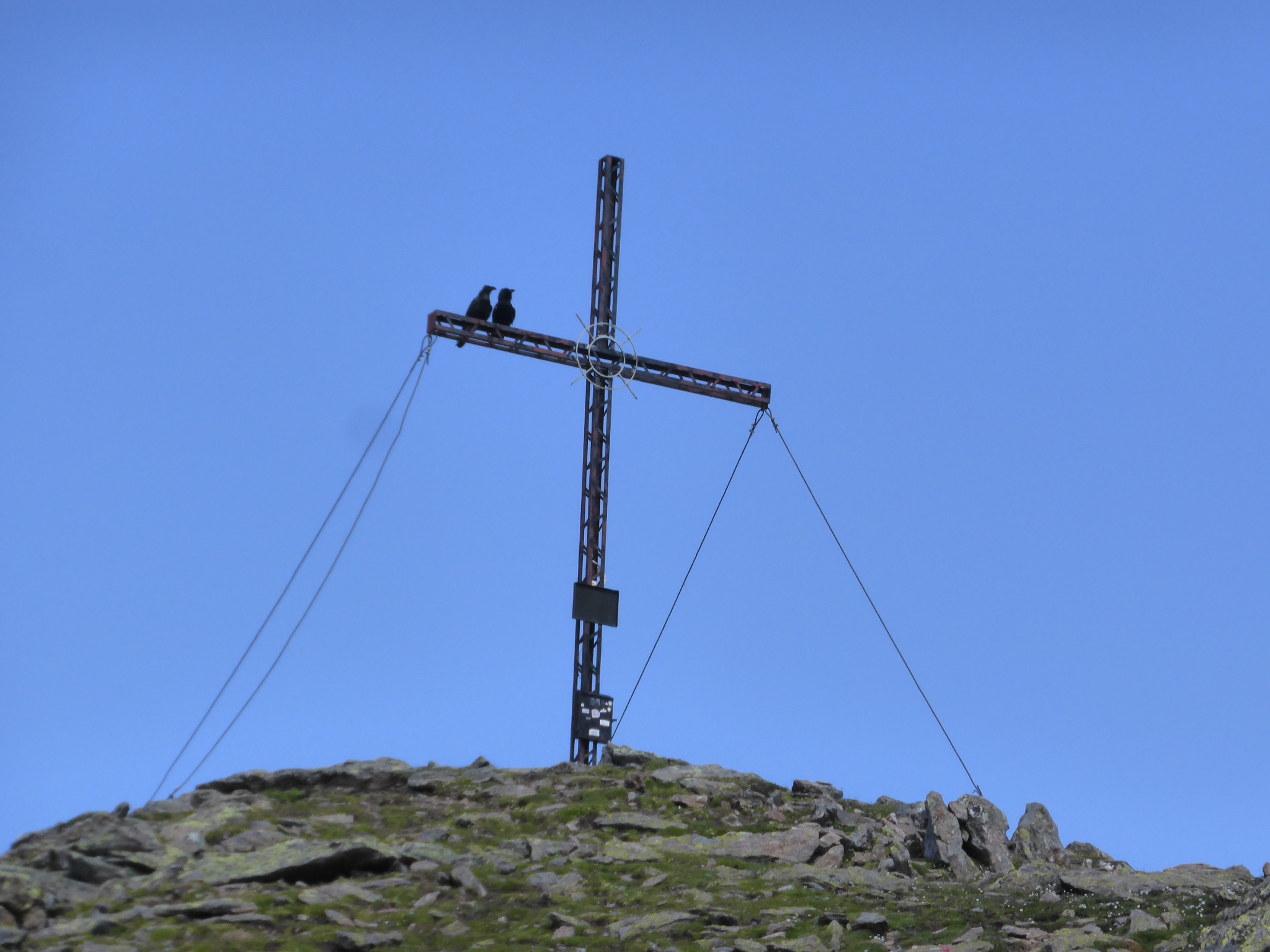 Brücke über der Gletschbach im Gleirschtal.