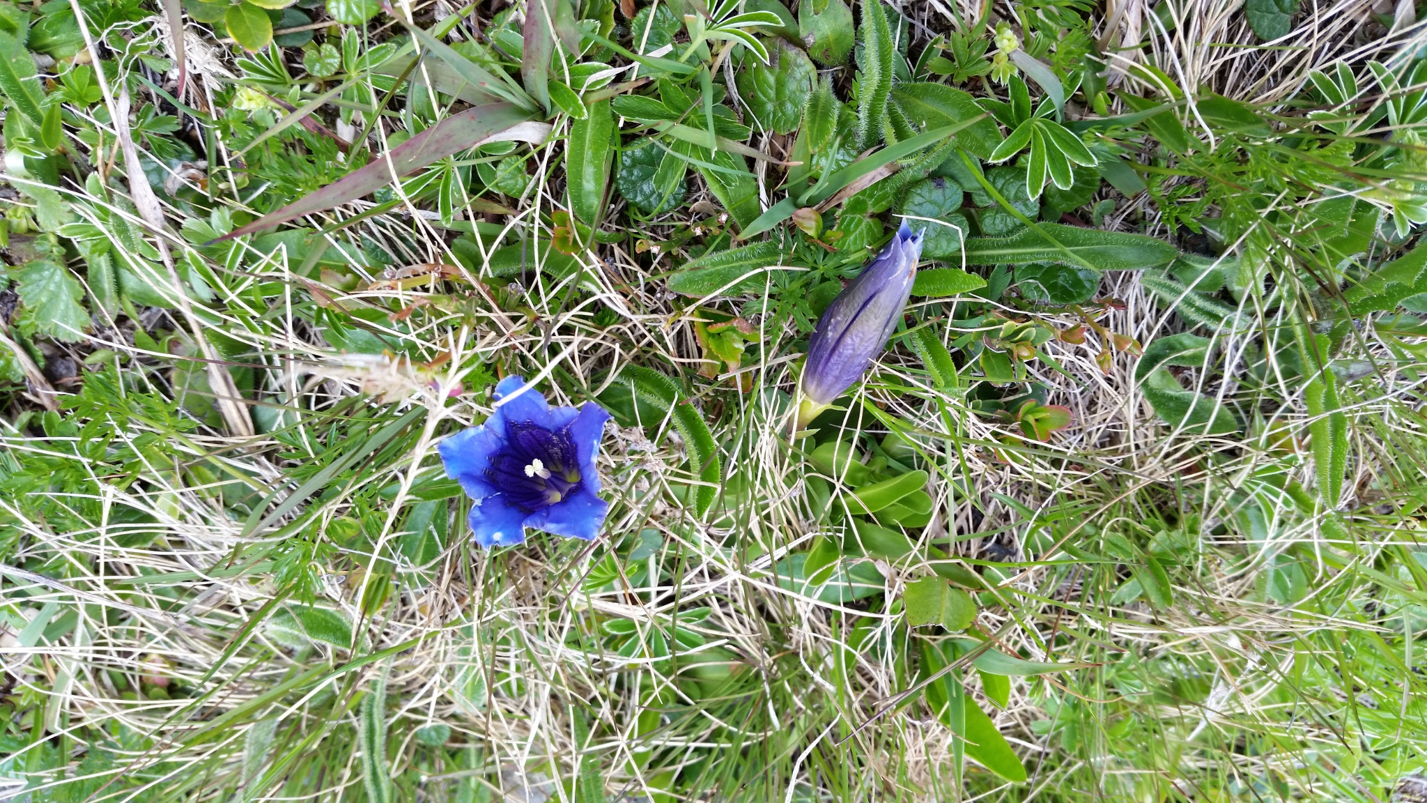 Rundtour Sellrain Bild 2