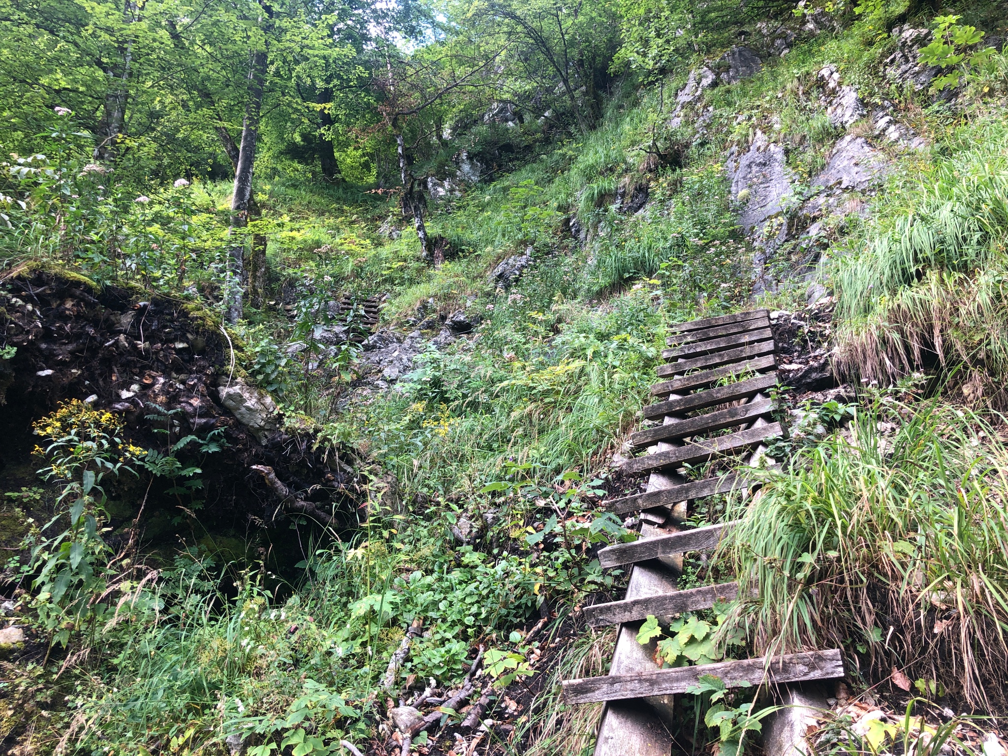 Wildes Steinernes Meer Bild 2